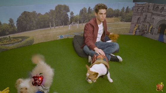 Imaginea articolului DOLIU în lumea filmului: A murit Cameron Boyce, star Disney. Actorul avea doar 20 de ani | VIDEO