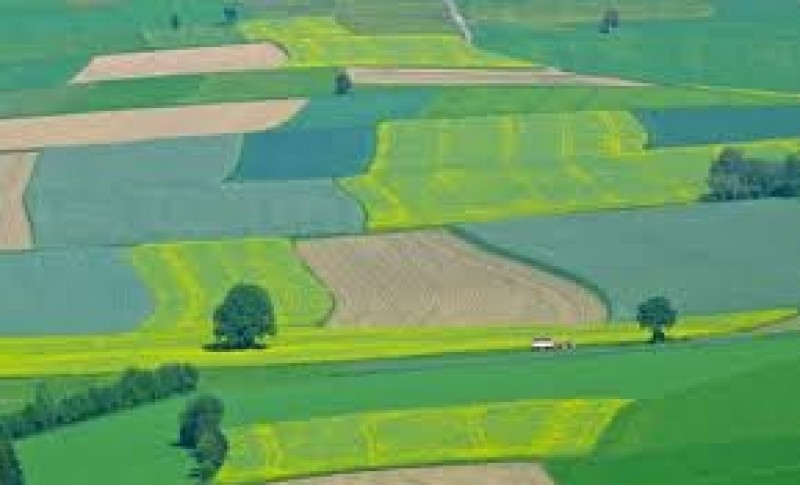 terenuri-agricole.jpg