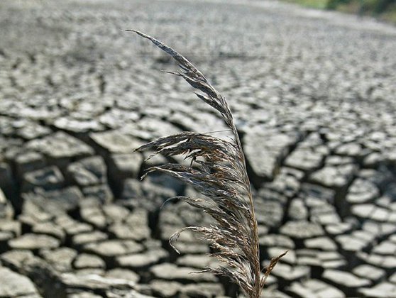 Imaginea articolului Italia este prima ţară din lume care va introduce studiul schimbărilor climatice în şcoli