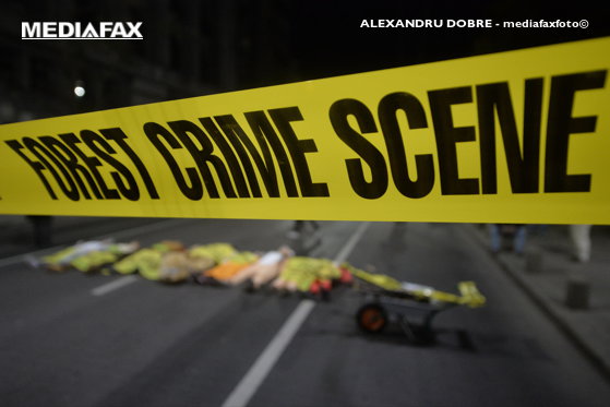 Imaginea articolului MEDIAFAX FOTO | Imaginile săptămânii 1 - 8 noiembrie 2019: Marşul pentru Păduri, validarea Guvernului Orban şi victoria lui Lewis Hamilton la Formula 1 
