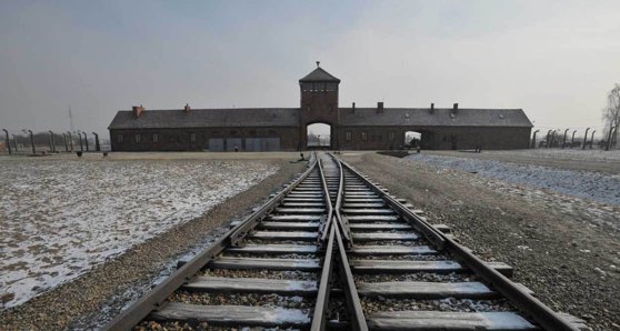 Imaginea articolului Controversă în jurul unei lucrări de artă: Ar conţine cenuşa unor victime ale Holocaustului