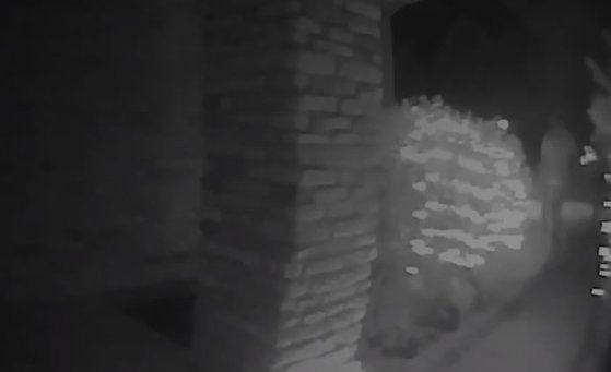 Imaginea articolului „Răpire extraterestră”, surprinsă de o cameră de supraveghere | VIDEO