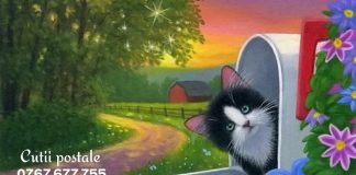 Cutiile poștale au o istorie de secole cutiipostalebloc.ro