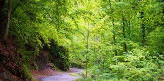 Ghid turistic al parcurilor naturale din judeţul Vâlcea