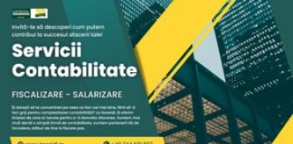 Geseidl: Partenerul tău de Încredere pentru Succesul Afacerii Tale contabilitate