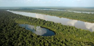 SGS își extinde expertiza în domeniul sustenabilității prin achiziționarea Aster Global