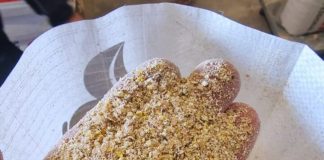 Furaje și premixuri pentru păsări de la Agroland – Sursa unei creșteri sănătoase
